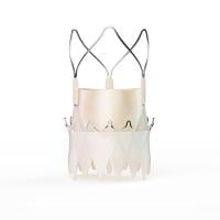 Acurate neo2 TAVR瓣膜