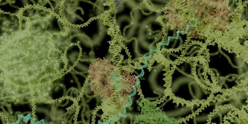 体外诊断酶市场