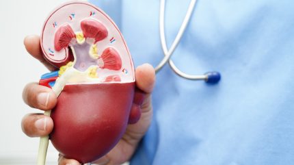 MediBeacon 的 TGFR 监测仪及传感器获得 CE 标志认证