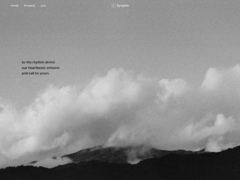 心诺普医疗技术（北京）有限公司（Synaptic Medical）- 中国心脏电生理领军企业