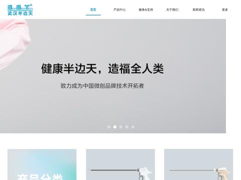 武汉半边天微创医疗技术有限公司（Wuhan BBT Minimally Invasive Medical Technology Co., Ltd.）