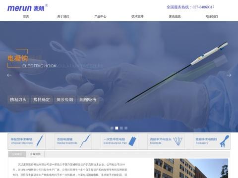 武汉麦朗医疗科技有限公司